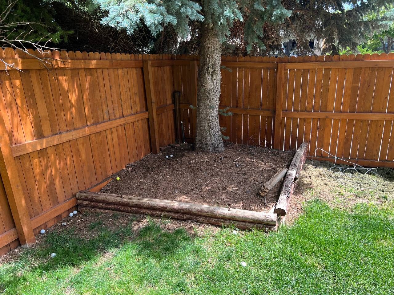 Tree ring renovation — before