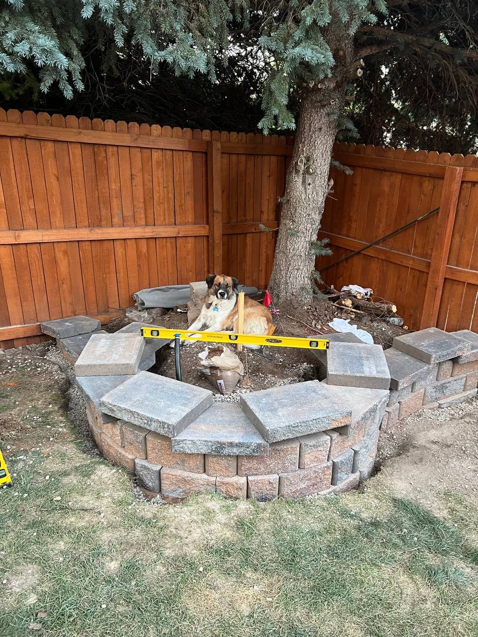 Tree ring renovation — in progress