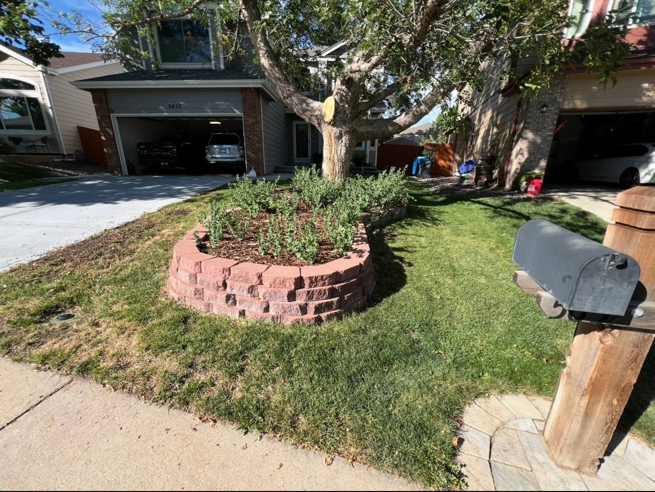 Sod installation — before