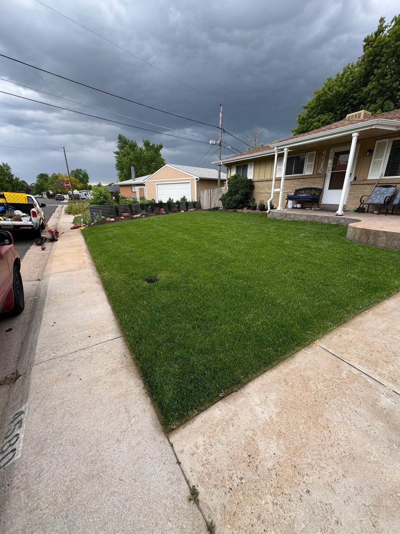 Front yard sod — after