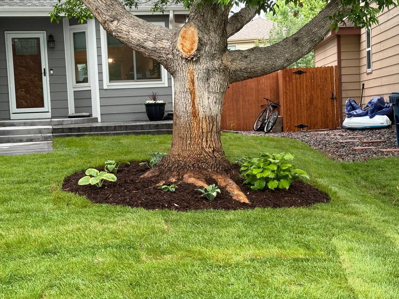 Sod installation — complete