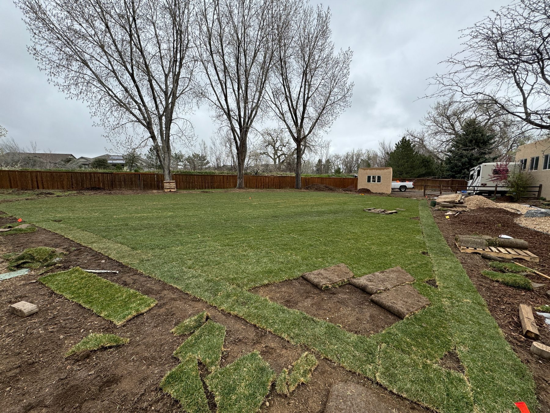 Large backyard sod — in progress